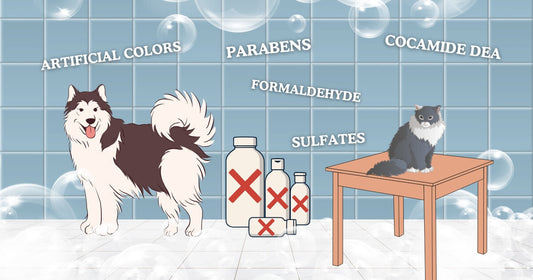 popular pet shampoos and conditioners that contain harmful chemicals you should know about