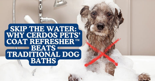 Why Cerdos Pets’ COAT REFRESHER™ Beats Traditional Dog Baths Every Time