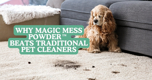 Why MAGIC MESS POWDER™ Beats Traditional Pet Cleaners every time