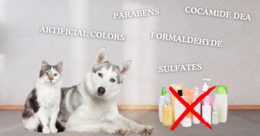 top harmful ingredients to avoid in pet grooming products