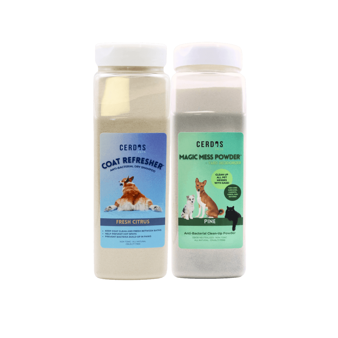 24oz Clean Zesty Product Combo Product Image
