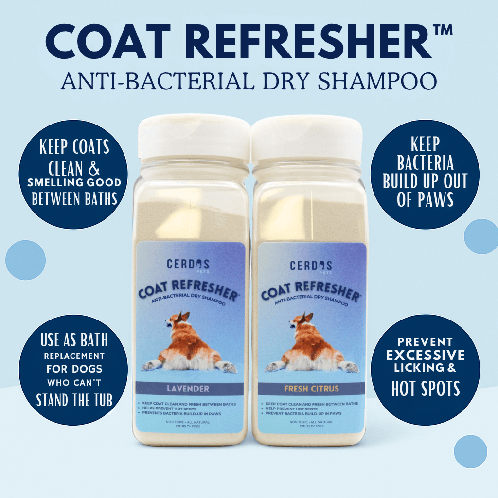 details of coat refresher