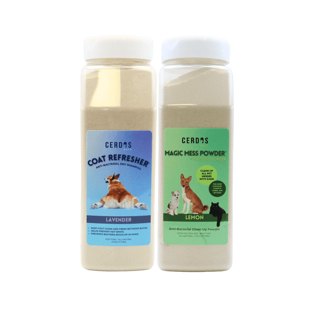 24oz Fresh Floral Product Combo Product Image